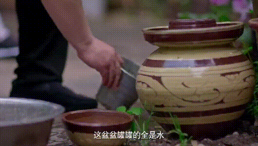 皇冠信用网登2代理
_风险增大皇冠信用网登2代理
!深圳疾控:去这247处要小心!张文宏首次发声