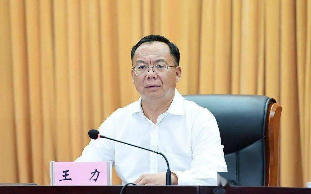 皇冠信用网出租代理_云南官宣：市委原书记王力被查