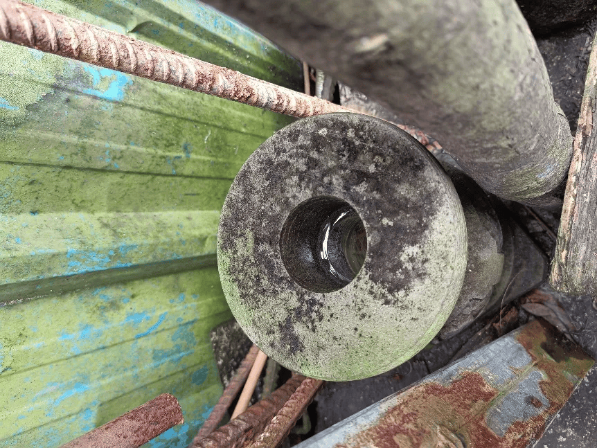 皇冠信用网账号注册_家里的这几个地方皇冠信用网账号注册，正悄悄“养”出花斑蚊！快自查→