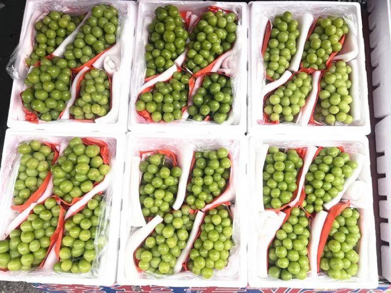 博托沙尼vs米耶尔库雷亚丘克
_批发价低至2元/公斤!昆明这种水果大降价博托沙尼vs米耶尔库雷亚丘克
,最贵曾卖到150元/公斤