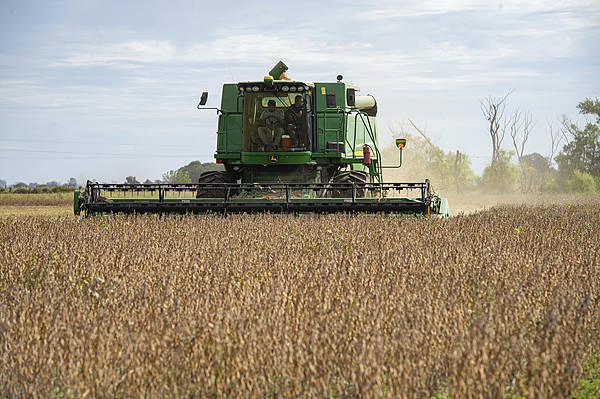 克克鲁vs巴尼特_中国追加阿根廷大豆订单至20船克克鲁vs巴尼特，美议员气炸：阿根廷背刺我们！