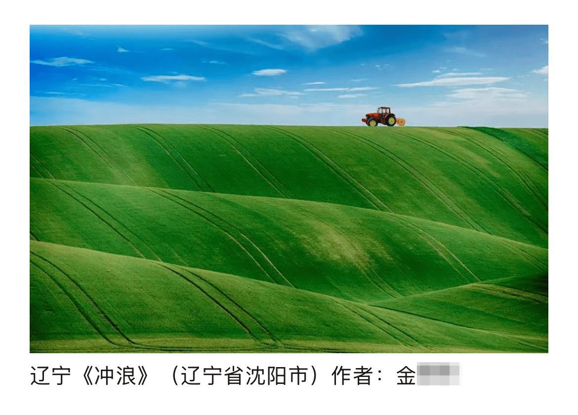 皇冠信用网结算日是哪天_辽宁传媒学院一教师摄影作品涉嫌抄袭被取消入展资格皇冠信用网结算日是哪天，同校美术系主任此前被认定抄袭