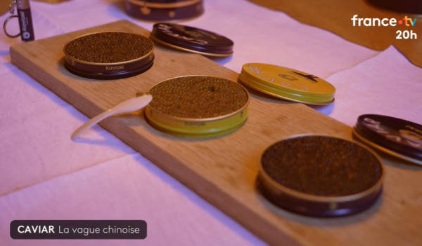 皇冠比分
_“在法国皇冠比分
,可以毫无顾虑地说,这些鱼子酱产自中国”